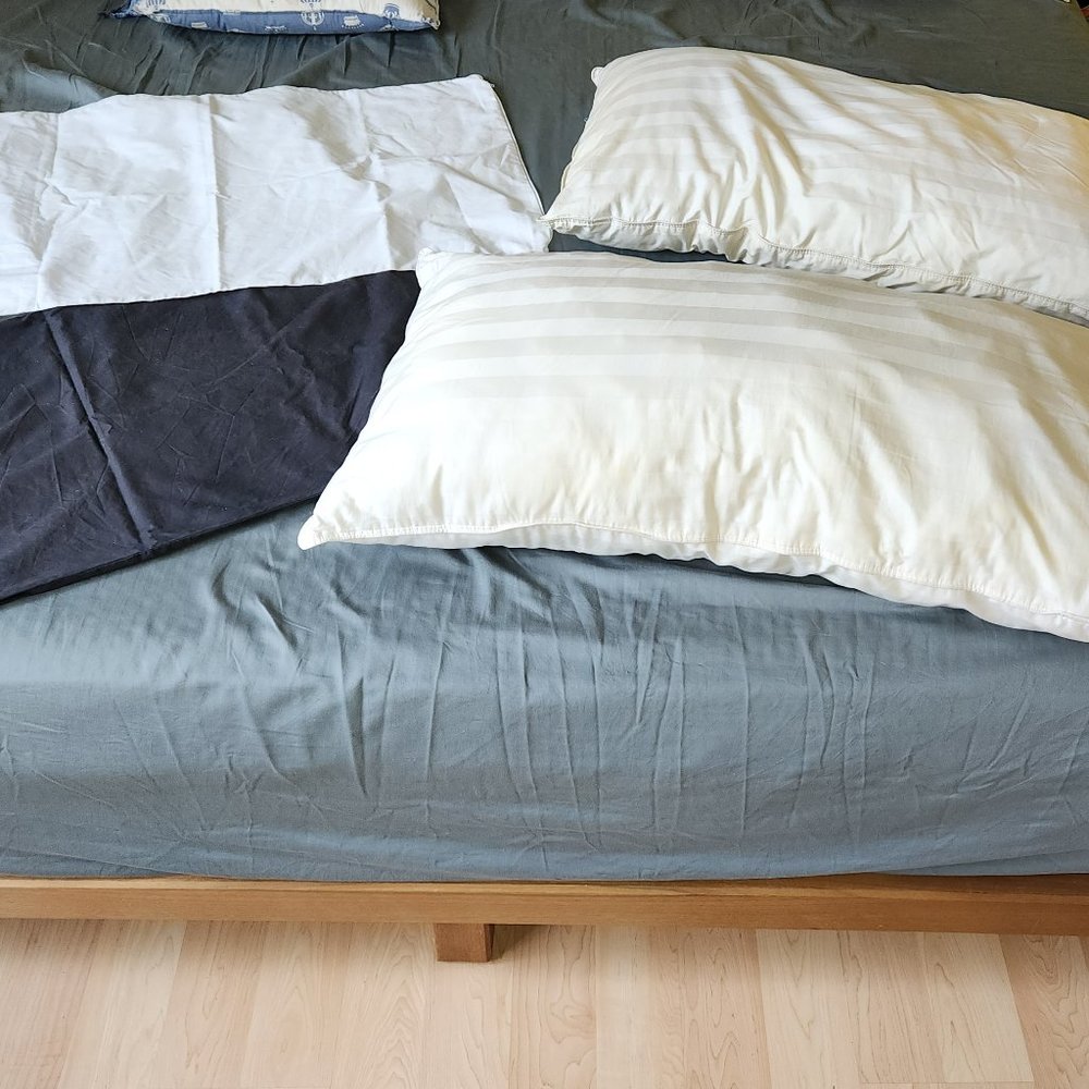 2 Pillows with Pillow Cases